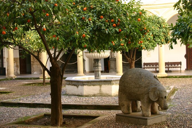 Historical Cordoba Guided Walking Tour - Experience Highlights