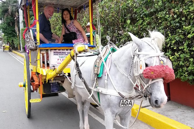 Historical Tour of Old Manila - Itinerary Customization Options