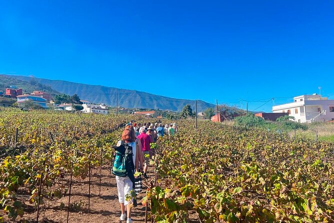 History and Tradition Tour of Local Products of La Orotava - Inquiries and Assistance