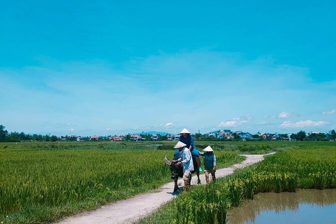 Hoi An Countryside - Buffalo Riding - Basket Boat Rowing - Health and Accessibility Considerations