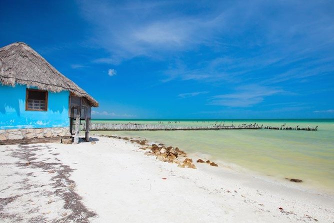 Holbox Island Tour Departure From Cancun - Meeting and Pickup Details