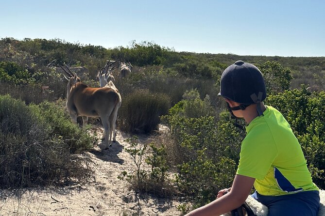 Horse Back Safari on the West Coast - Physical Requirements and Suitability