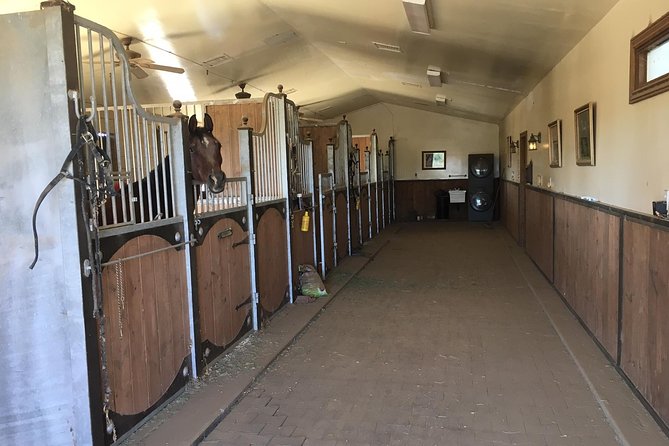 Horse Country Estate and Vineyard Wine Tasting Tour - Vineyard Tour and Tastings