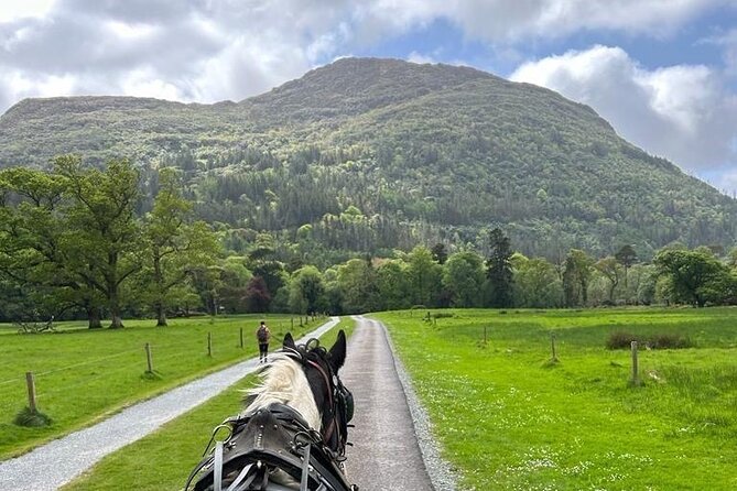 Horse-Drawn Carriage Tours in Killarney - Tour Details and Accessibility