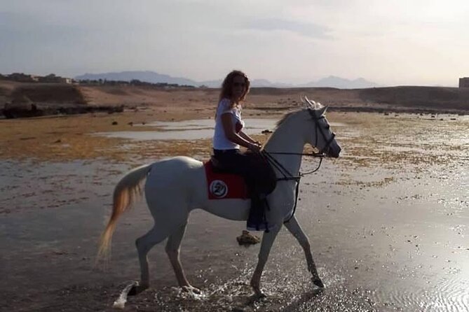 Horse Ride Trip , Bedouin Dinner And Show - Sharm El Sheikh - Inclusions and Exclusions