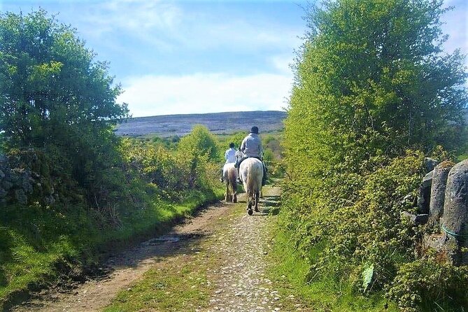 Horse Riding - Dirt Trek Trail. Lisdoonvarna, Clare. Guided. 1 Hour. - Expectations and Requirements
