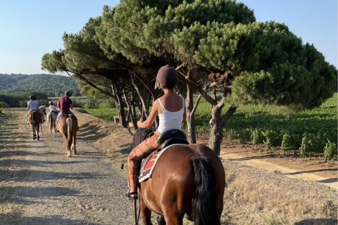 Horse Riding in the Vineyards of Ramatuelle + Wine Tasting - Experience Highlights