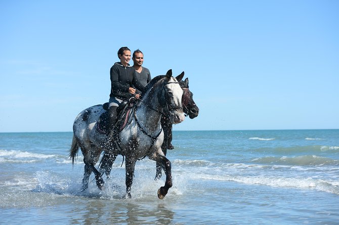 Horse Riding Morning Ride in Paros - Experience Overview