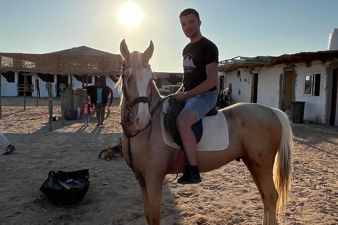 Horse Riding on the Beach and Desert 3 Hours From Hurghada - Inclusions and Pricing