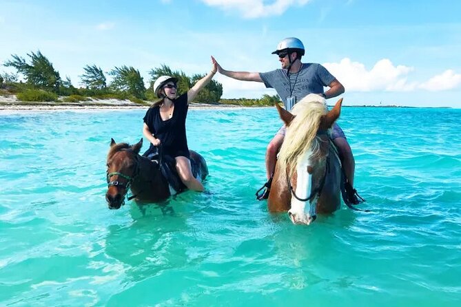 Horse Riding on the Beach With Transfer From Sharm El Sheikh - Inclusions and Pricing