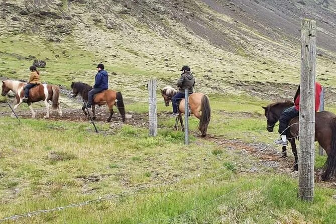 Horse Riding Tour in Reykjadalur (Smoky Valley)-All Riding Levels - Inclusions and Equipment