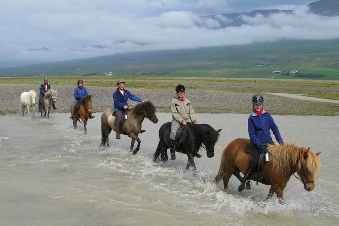 Horse Riding Tour to the Glacier River Delta With Waterfall - Horseback Riding Route