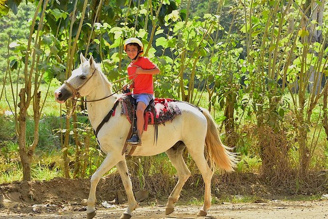 Horseback and Waterfalls Adventure in Jaco With Pick up - Horseback Riding Experience