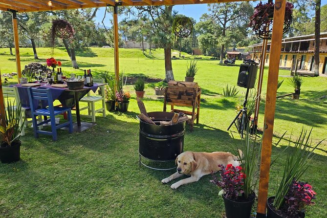 Horseback in the Mountains & Food in Our Ranch - Location and Transportation