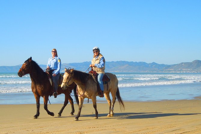 Horseback Ride & Alcatraz Prison Tickets - Tour Highlights