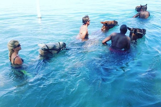 Horseback Ride and Swim From Ocho Rios - Pickup Information