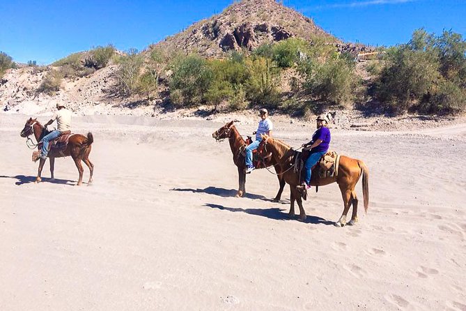 Horseback Ride and Witness Magical Sunset of Loreto, BCS - Transportation and Meeting Details