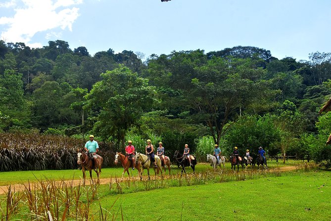 Horseback Riding and Natural Swimming Pools / Jacó Beach - Wildlife Encounters