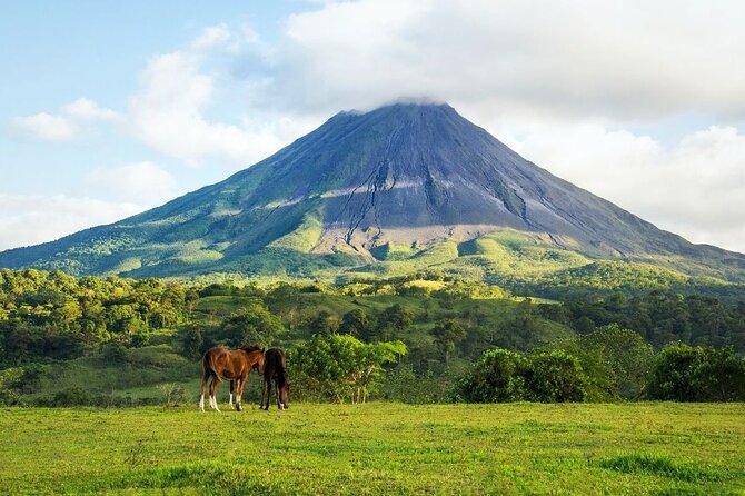 Horseback Riding at Arenal Volcano Foothills - Transportation and Amenities