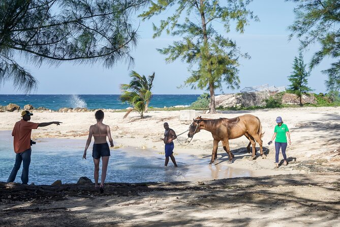 Horseback Riding , Blue Hole and Lunch From Ocho Rios - Horseback Riding Experience