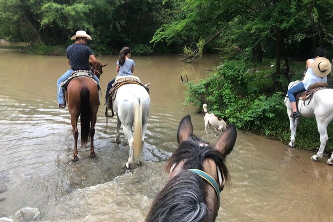 Horseback Riding Experience in Sierra Madre Mountains - Meeting and Pickup Information