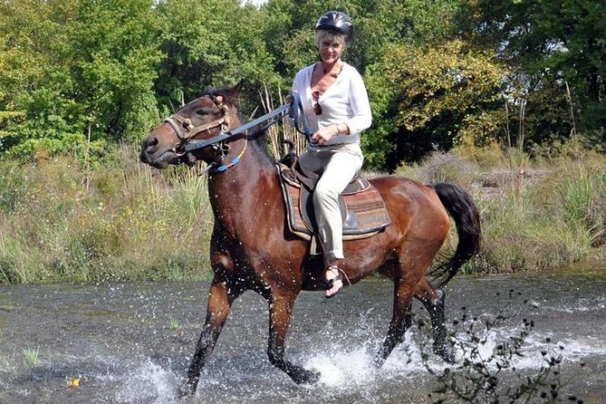 Horseback Riding From Kusadasi Port / Hotels - Transportation and Accessibility