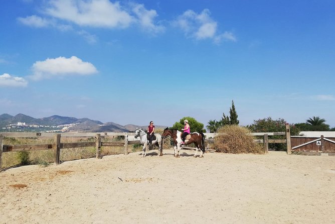 Horseback Riding in Cartagena (Spain) - Tips for Enjoying Your Ride