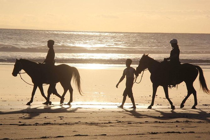 Horseback Riding in Djerba Lagoon - Tour Itinerary Details