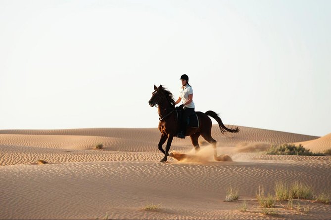Horseback Riding in Dubai Desert With Transfers - Pickup and Timing Details