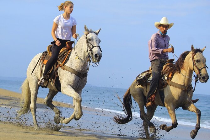 Horseback Riding in Sayulita Through Jungle Trails to the Beach - Logistics and Inclusions