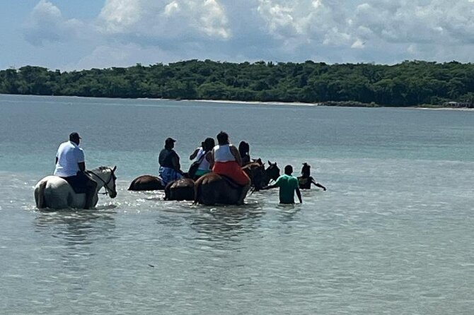 Horseback Riding in the Ocean From Ocho Rios & Runaway Bay - Inclusions and Exclusions