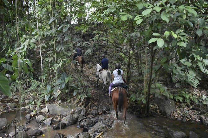 Horseback Riding to Arenal Volcano - Inclusions and Amenities
