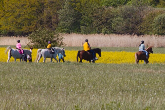Horseback Riding Tour in Prague - Meeting and Pickup Details