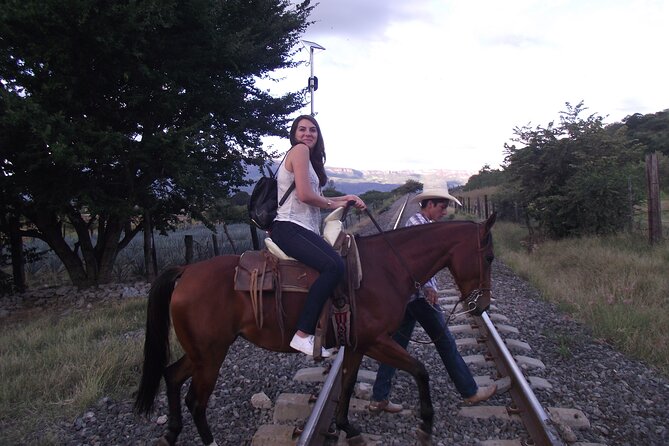 Horseback Riding Tour in the Agave Field With Lunch - Tour Details