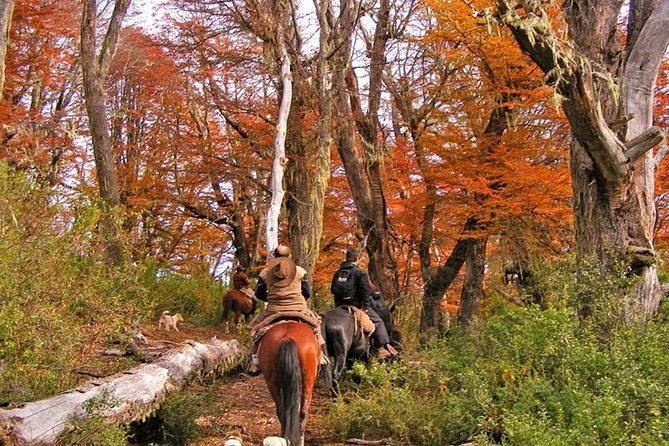 Horseback Riding Tour: Lanin National Park and Mapuche Culture - Crossing Rivers and Enjoying Scenic Views