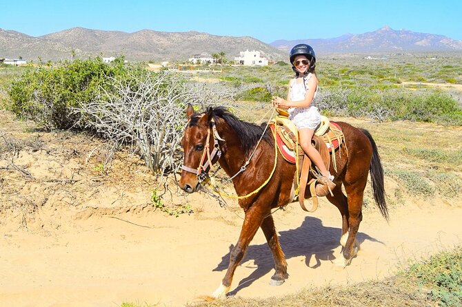 Horseback Riding Tour Los Cabos - Inclusions and Pricing