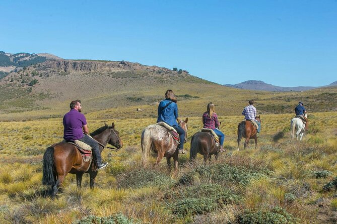 Horseback Riding With Traditional Asado and Wine From Bariloche - Transportation and Pickup Information