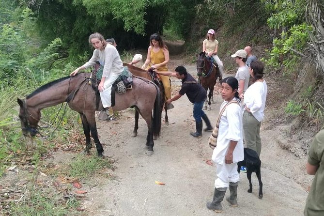 Horses to the Sacred Ancestral Stone Mama Duwanaby. - Exploring the Ancestral Stone