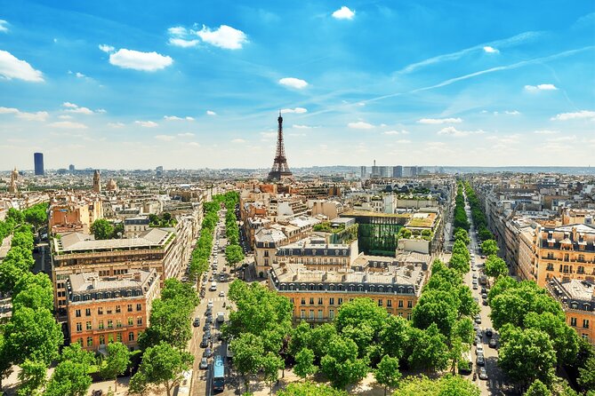 Hourly Disposal Service in Paris: Private Driver by Luxury Van - Pricing and Offers