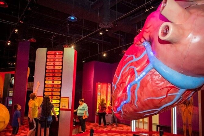 Houston Museum Pass - Customer Reviews and Ratings