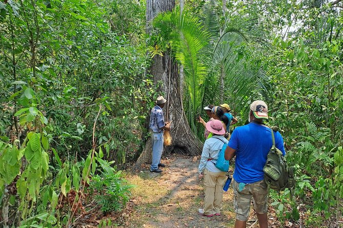 Howler Monkey Sanctuary and Belize City Tour - Guided Rainforest Hike