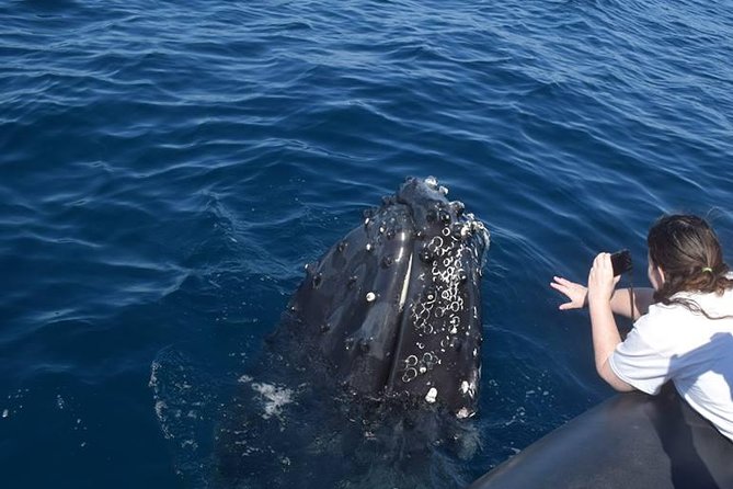 Humpback Whales Watching + Samana Eco-Tour - Punta Cana - Inclusions and Schedule