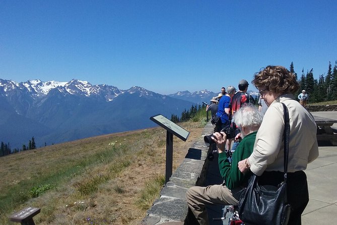 Hurricane Ridge Olympic National Park From Seattle - Scenic Highlights