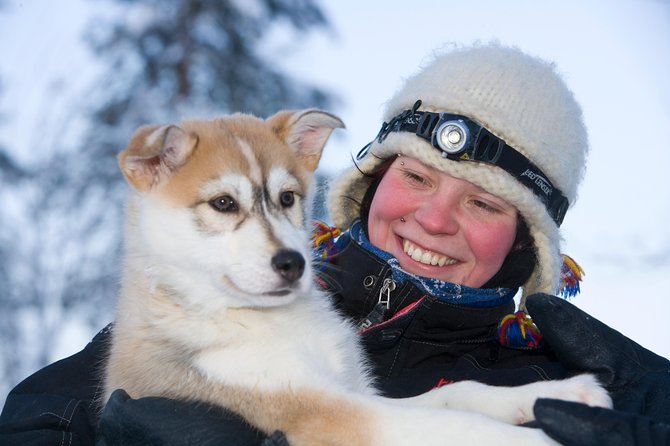 Husky Safari From Rovaniemi Including a Husky Sled Ride - Whats Included in the Tour