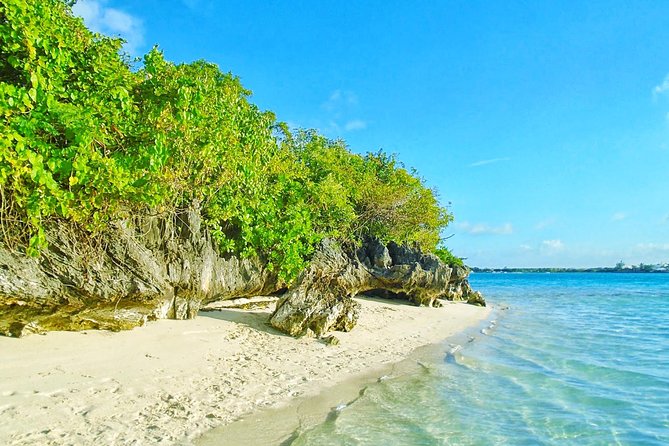 Ile Aux Aigrettes Nature Reserve, Blue Bay Beach, La Vanille Park & Gris Gris - Transportation Details