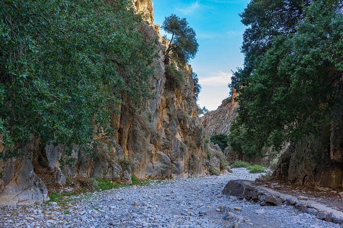 Imbros Gorge Adventure Hike. Private Tour. - Transportation and Inclusions