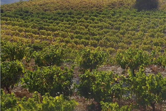 Intro to Xeros Potamos Valley & Vouni Panagias Walk (Private From Nicosia) - Tour Inclusions and Pricing