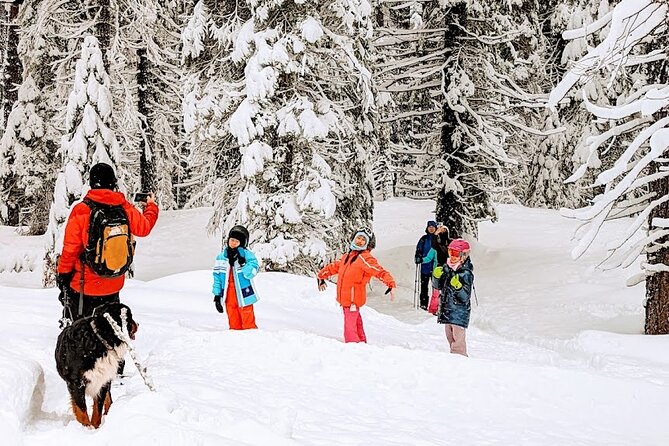 Introductory Snowshoe Shared Experience - Meeting and Pickup Details
