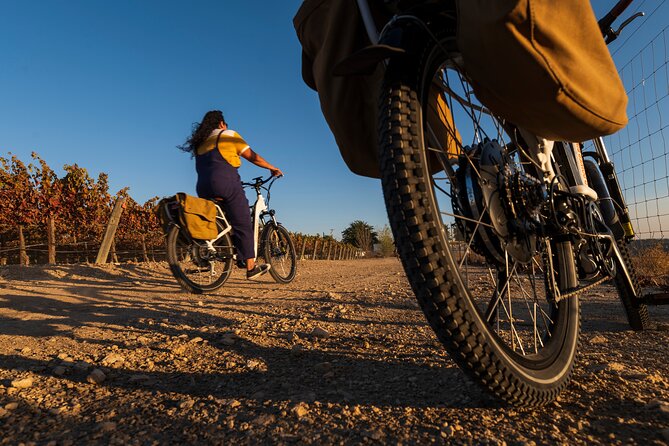 Introductory Wine Tour of Paso Robles on Electric Bikes - Winery Visit Experience