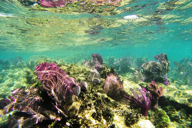 Isla Mujeres Private Dream Getaway - Pickup Information